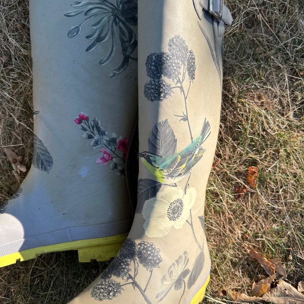 Joules Rainboots